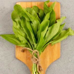 Spinach [Palak] - Cleaned, without roots